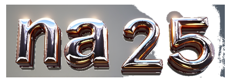 na 25 logo